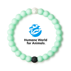 Animal Rescue Mint Bracelet